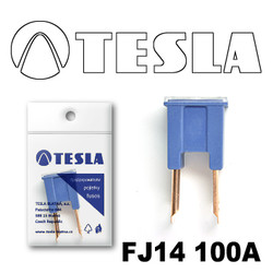 �������������� Tesla �������������� ������������ ���� FJ14 100� | ������� FJ14100A � ��������