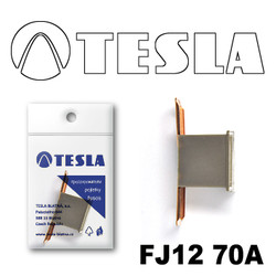 �������������� Tesla �������������� ������������ ���� FJ12 70� | ������� FJ1270A � ��������