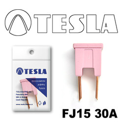 �������������� Tesla �������������� ������������ ���� FJ15 30� | ������� FJ1530A � ��������