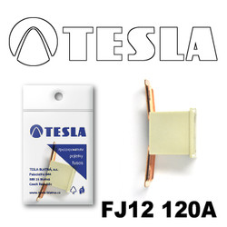 �������������� Tesla �������������� ������������ ���� FJ12 120� | ������� FJ12120A � ��������