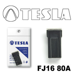�������������� Tesla �������������� ������������ ���� FJ16 80� | ������� FJ1680A � ��������