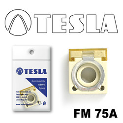 �������������� Tesla �������������� ���������� FM  75A | ������� FM75A � ��������