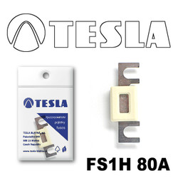 �������������� Tesla �������������� ��������� � ���������� 80� | ������� FS1H80A � ��������