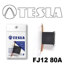 �������������� Tesla �������������� ������������ ���� FJ12 80� | ������� FJ1280A � ��������