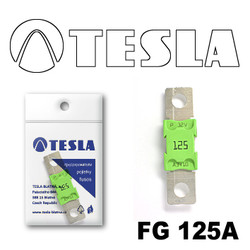�������������� Tesla �������������� MEGA 125A | ������� FG125A � ��������