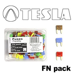 �������������� Tesla �������������� ������� MINI � ������������ 100 ��/���. | ������� FNPACK � ��������