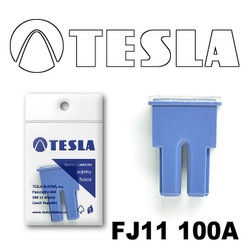 �������������� Tesla �������������� ������������ ���� FJ11 100� | ������� FJ11100A � ��������