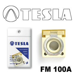 �������������� Tesla �������������� ���������� FM  100A | ������� FM100A � ��������