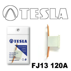 �������������� Tesla �������������� ������������ ���� FJ13 120� | ������� FJ13120A � ��������