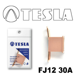 �������������� Tesla �������������� ������������ ���� FJ12 30� | ������� FJ1230A � ��������