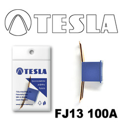 �������������� Tesla �������������� ������������ ���� FJ13 100� | ������� FJ13100A � ��������