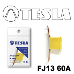 �������������� Tesla �������������� ������������ ���� FJ13 60� | ������� FJ1360A � ��������