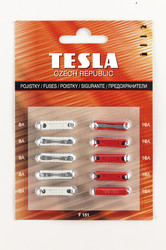 �������������� Tesla �������������� CONTINENTAL (5�8�, 5�16�), �������� 10��. | ������� F151 � ��������