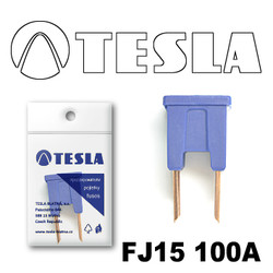 �������������� Tesla �������������� ������������ ���� FJ15 100� | ������� FJ15100A � ��������