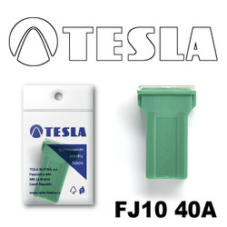 �������������� Tesla �������������� ������������ ���� FJ10 40� | ������� FJ1040A � ��������