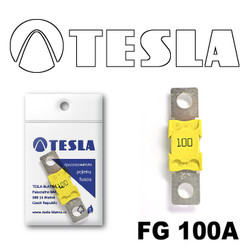 �������������� Tesla �������������� MEGA 100A | ������� FG100A � ��������