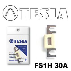 �������������� Tesla �������������� ��������� � ���������� 30� | ������� FS1H30A � ��������