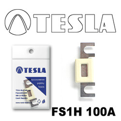 �������������� Tesla �������������� ��������� � ���������� 100� | ������� FS1H100A � ��������