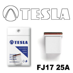 �������������� Tesla �������������� ������������ ���� FJ17 25� | ������� FJ1725A � ��������
