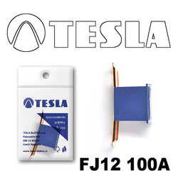 �������������� Tesla �������������� ������������ ���� FJ12 100� | ������� FJ12100A � ��������