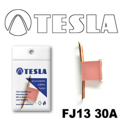 �������������� Tesla �������������� ������������ ���� FJ13 30� | ������� FJ1330A � ��������