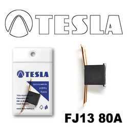 �������������� Tesla �������������� ������������ ���� FJ13 80� | ������� FJ1380A � ��������