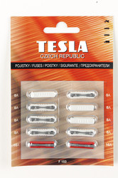�������������� Tesla �������������� CONTINENTAL (8�8�, 2�16�), �������� 10��. | ������� F153 � ��������