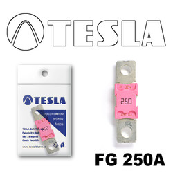 �������������� Tesla �������������� MEGA 250A | ������� FG250A � ��������