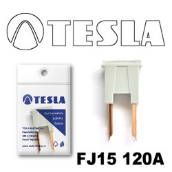 �������������� Tesla �������������� ������������ ���� FJ15 120� | ������� FJ15120A � ��������