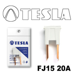 �������������� Tesla �������������� ������������ ���� FJ15 20� | ������� FJ1520A � ��������