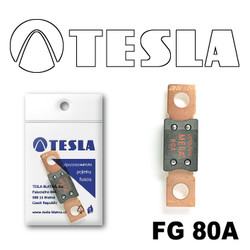 �������������� Tesla �������������� MEGA 80A | ������� FG80A � ��������
