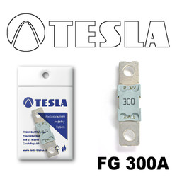 �������������� Tesla �������������� MEGA 300A | ������� FG300A � ��������