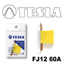 �������������� Tesla �������������� ������������ ���� FJ12 60� | ������� FJ1260A � ��������