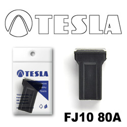 �������������� Tesla �������������� ������������ ���� FJ10 80� | ������� FJ1080A � ��������