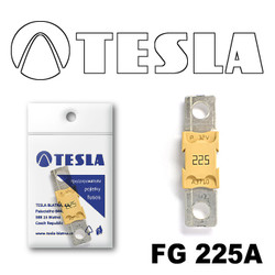 �������������� Tesla �������������� MEGA 225A | ������� FG225A � ��������